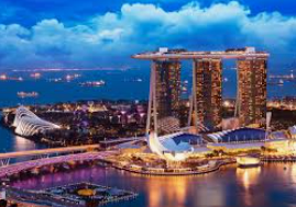 黄金网站app免费免费版